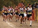 2010CIF XC BD2-1273